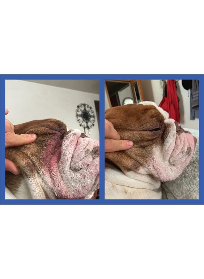 Squishface - Wrinkle Paste - Bulldog, French Bulldog, Pug, English Bulldog – Cleans Wrinkles, Tear Stain, Tail Pockets, and Paws – Anti-Itch Tear Stain Remover & Bulldog Wrinkle Cream, 2 Oz. - Image 1