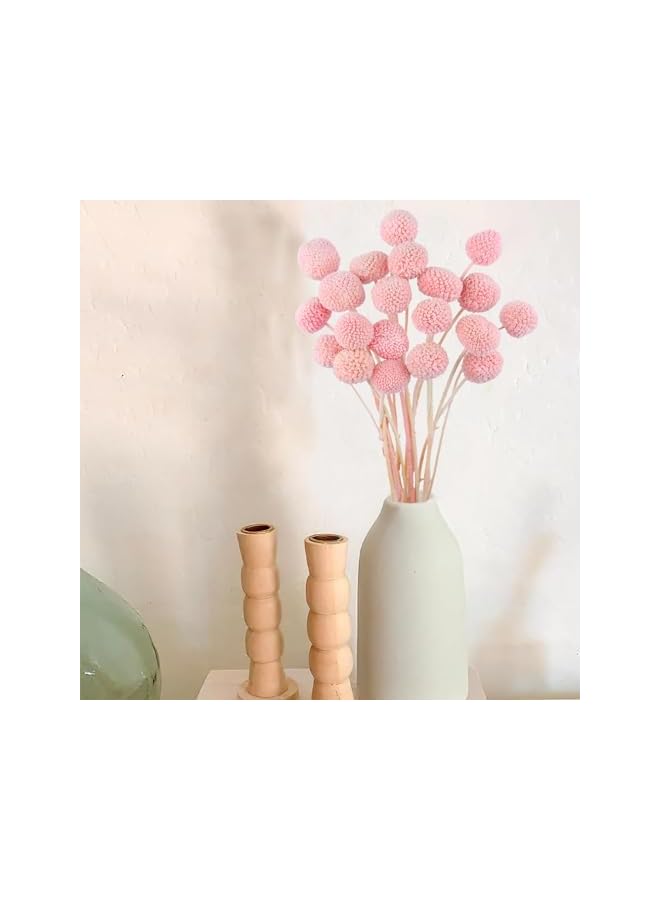 The Bros 20 Pcs Dried Craspedia Billy Balls Flowers in Dark Pink - Billy Buttons for Floral Bouquets, Wedding Arrangements, Tall Vase and Boho Home Decor, Ideal for Festivals - Image 4