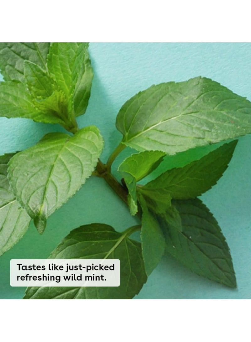 EOS 100% Natural & Organic Lip Balm Sweet Mint 0.25 oz - Image 2