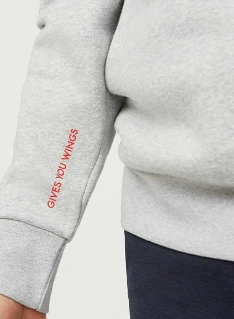Red Bull  Red Bull Hoodie for Men | Best Price UAE