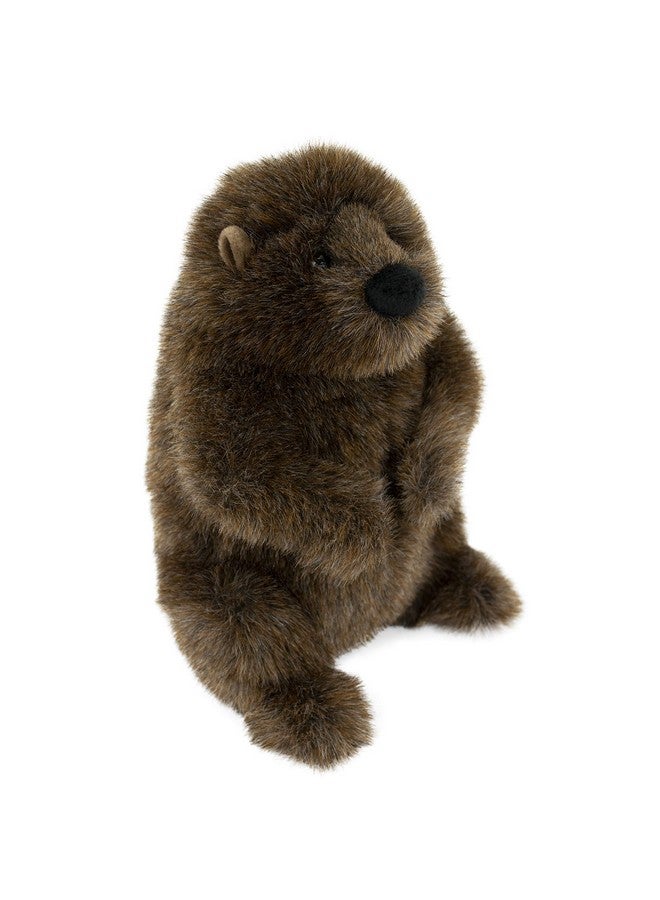 Douglas Chuckwood Groundhog Woodchuck Plush Stuffed Animal - Image 5