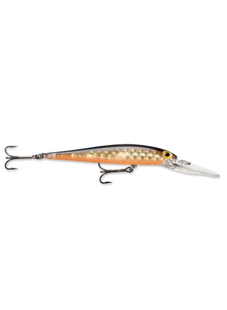 Prizmflash Gold Shiner