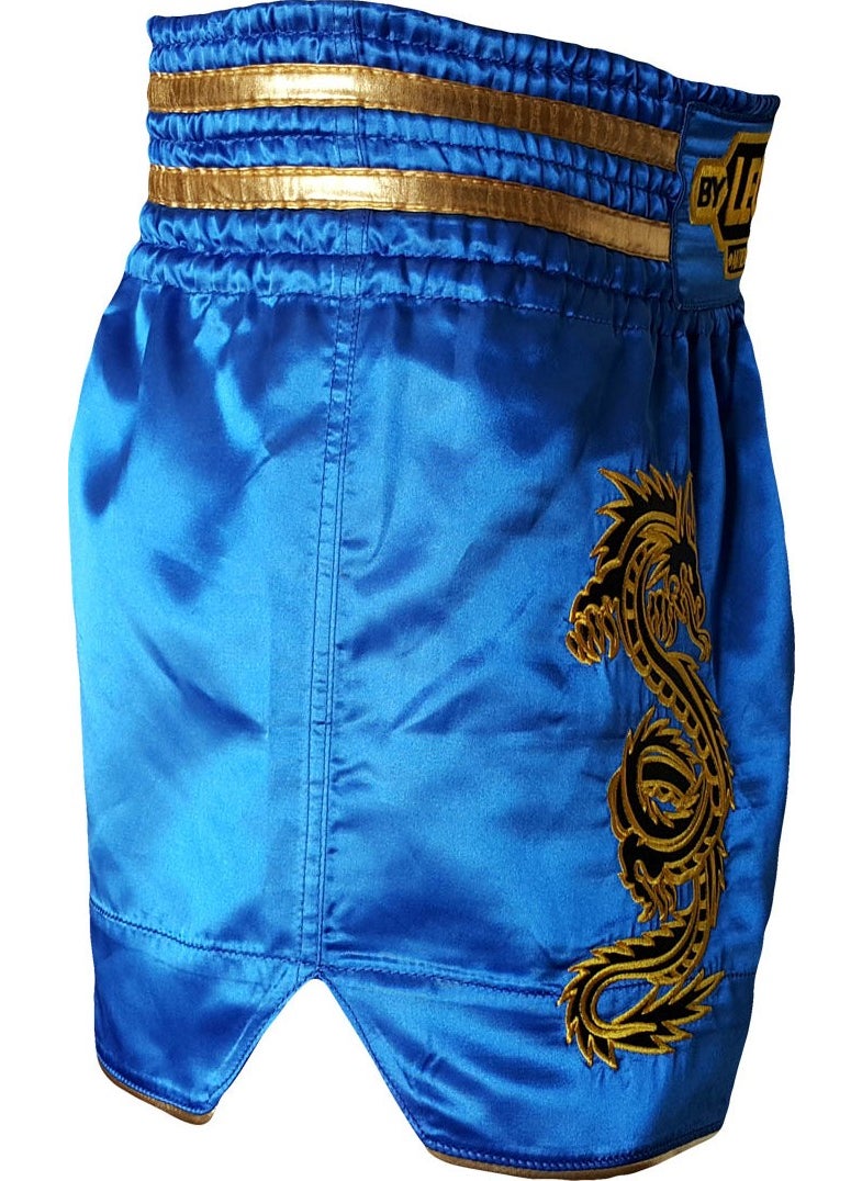 Leon Dragon Pattern Muay Thai and Kickboxing Shorts Blue - pzsku/Z71010CE4B3CBBDEFA8FBZ/45/_/1729177918/7e6f6759-d2dd-4d74-896c-d6dcd4139e5c