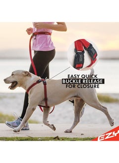 EzyDog Premium Chest Plate Custom Fit Reflective No-Pull Padded Comfort Dog Harness - Perfect for Training, Walking, and Control - Includes Car Restraint Attachment (X-Small, Bubble Gum) - pzsku/Z7103C81C195BA2F44D94Z/45/_/1737031871/2999226a-10f4-4fab-87f2-081e5e84424d