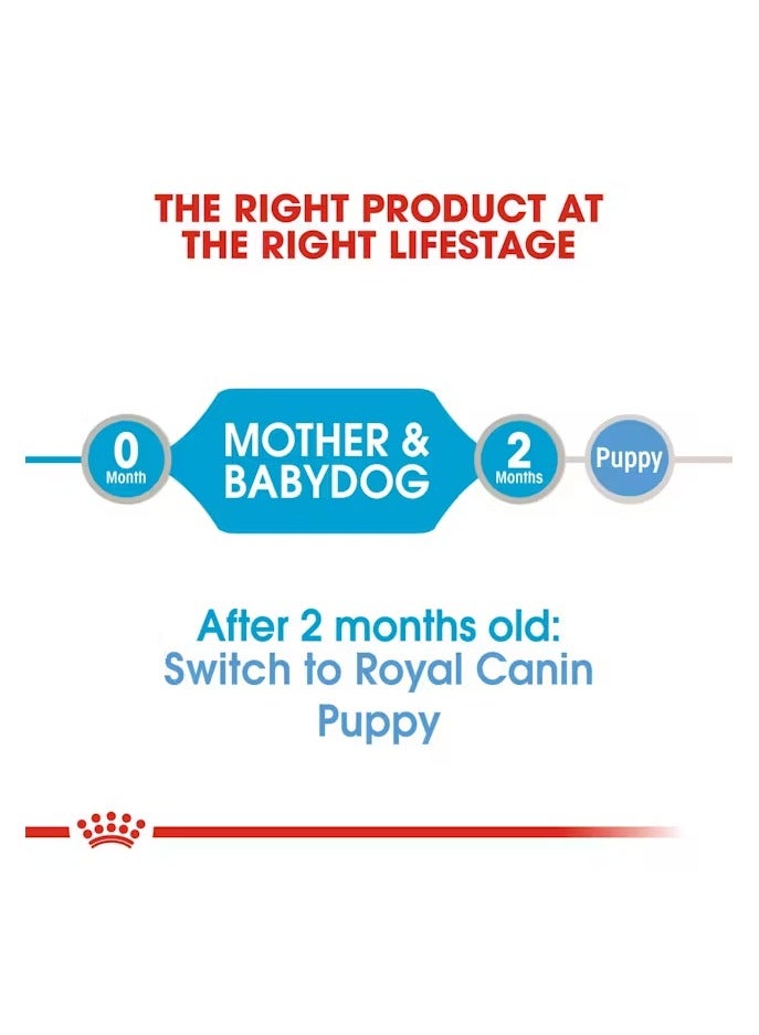 Royal Canin Canine Health Nutrition Starter Mousse (WET FOOD - Cans) 12 x 195g - Image 5