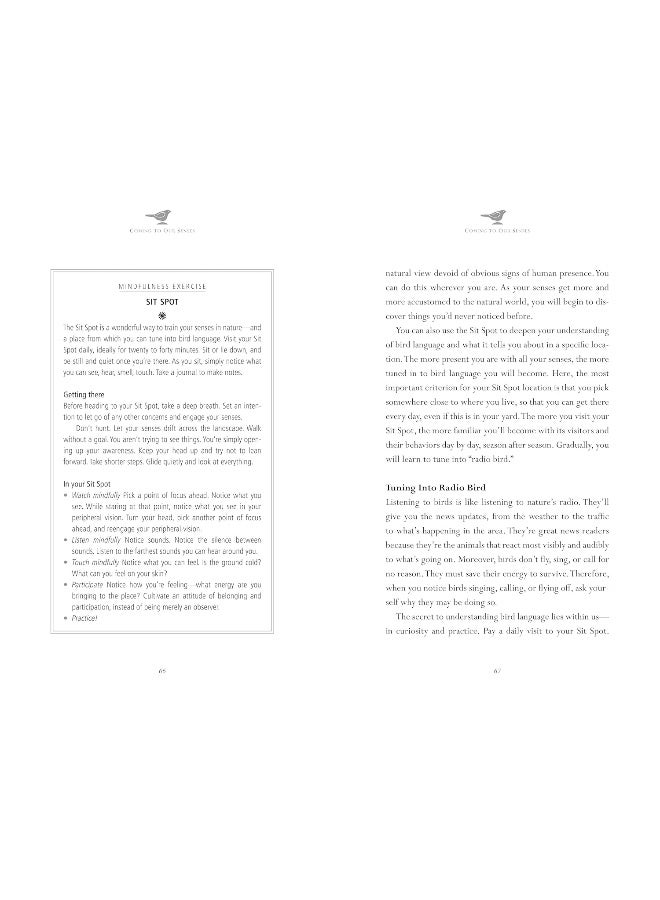 Leaping Hare Press Mindfulness in Bird Watching: Meditations on Nature & Freedom - Image 5