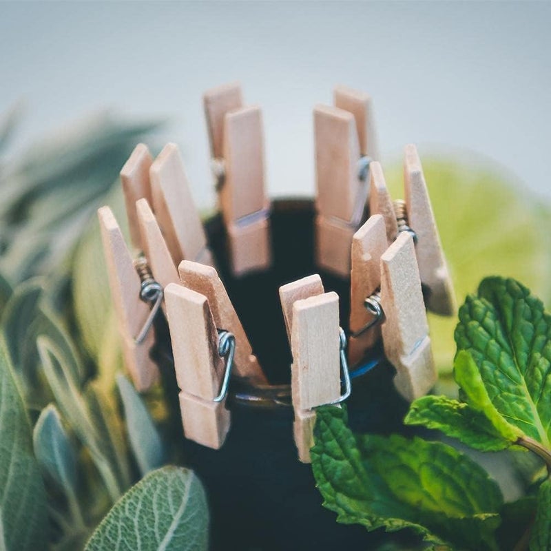 ProKitchen.Homes ProKitchen 1 Inch 25 Pcs Mini Wooden Cocktail Garnish Clothespins Clips for Crafts Tiny PegsWood Clips for Wall Hanging Pictures - Image 3