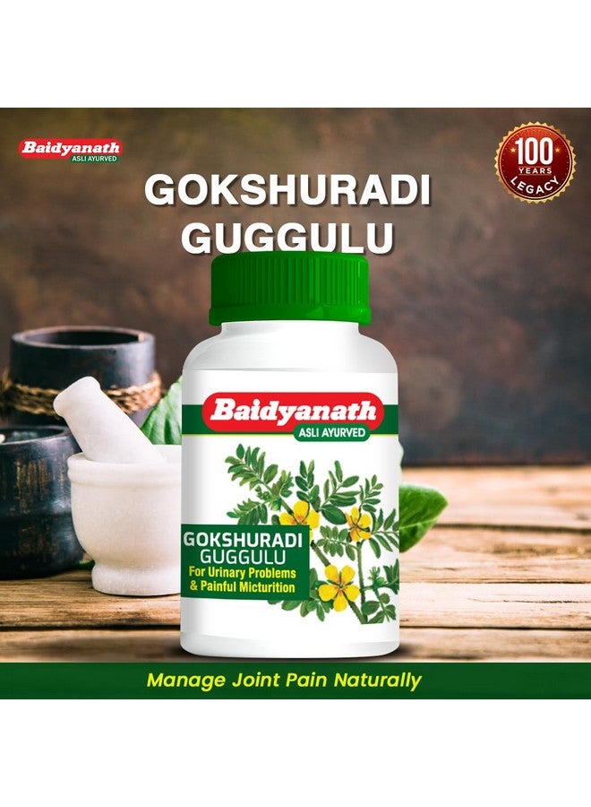 Baidyanath بايدياناث غوكشورادي غوجولو - 80 قرص | تركيبة Ayurvedic لصحة الكلى والمسالك البولية | يدعم المسالك البولية، المثانة وتدفق البول | مع غوكهرو، هاريتاكي وأملا | (عبوة من 2) - Image 3