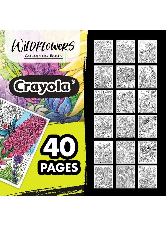 Crayola كتاب تلوين الزهور البرية 40 صفحة تلوين للكبار هدية مميزة - Image 4