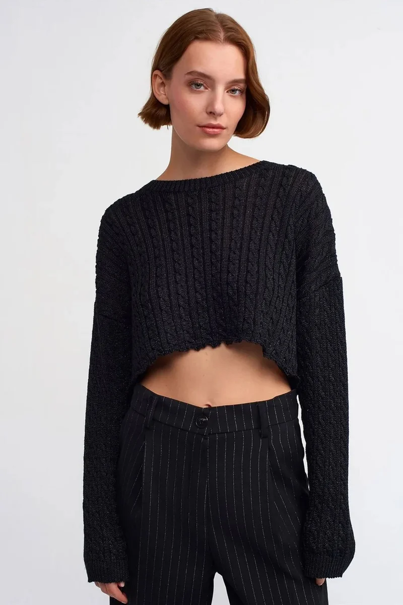 DILVIN Crop Cable Knit Crew Neck Sweater