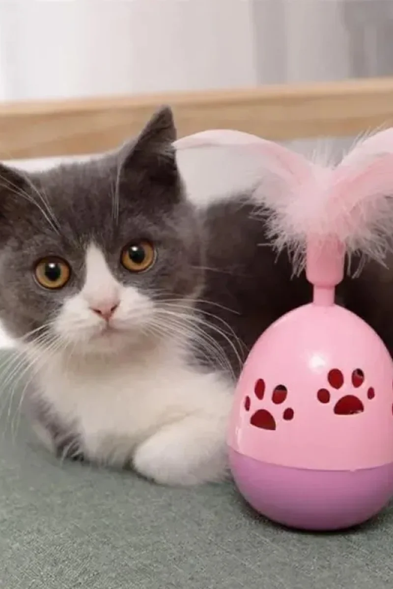 موبي Paw Patterned Hacı Yatmaz Cat Toy Furry 1450