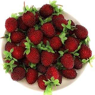 Gresorth 30pcs Artificial Raspberry Fake Fruit Decoration Home House Kitchen Cabinet Food Model - Image 1
