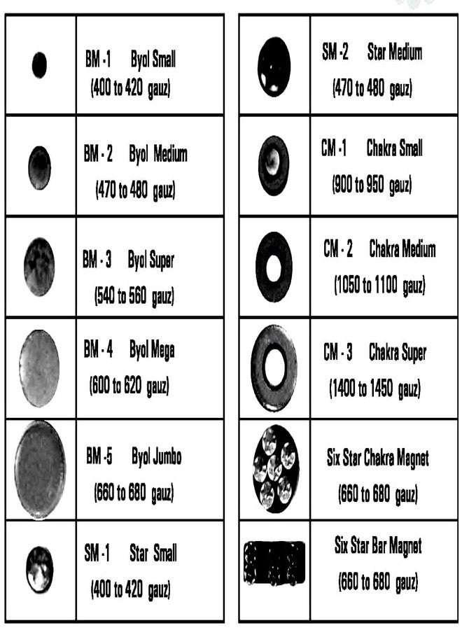 ANCS sujok byol magnet super big size-7mm One Pack-(Set-10pc) Yellow & White Ovel shape - Image 5