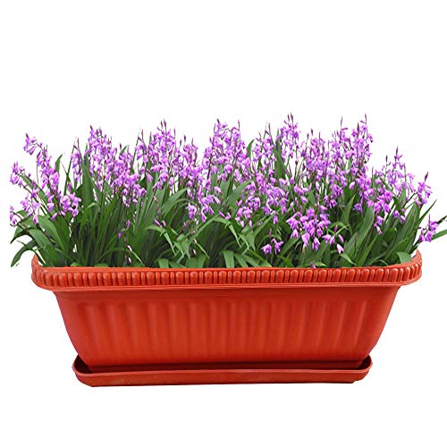 SAI PRASEEDA Polyethylene Planter with Bottom Tray and Spray Water Bottle, Brown, 12 inch, 6 Pc - Image 2