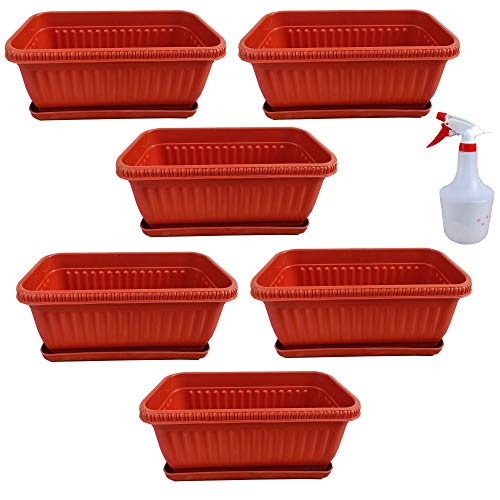 SAI PRASEEDA Polyethylene Planter with Bottom Tray and Spray Water Bottle, Brown, 12 inch, 6 Pc - Image 1