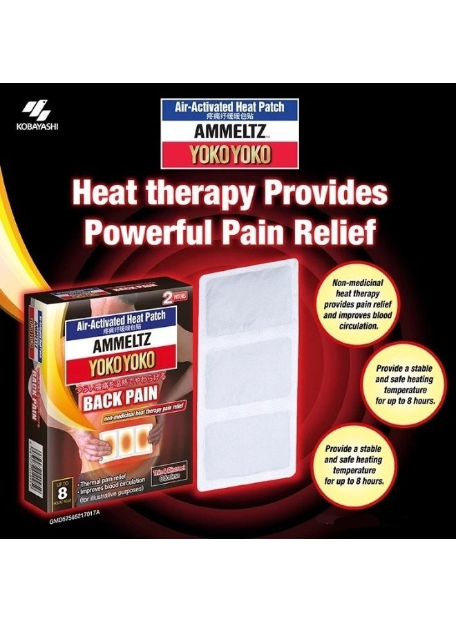 AMMELTZ HP For Back Pain | 2s {package of 2} - Image 3