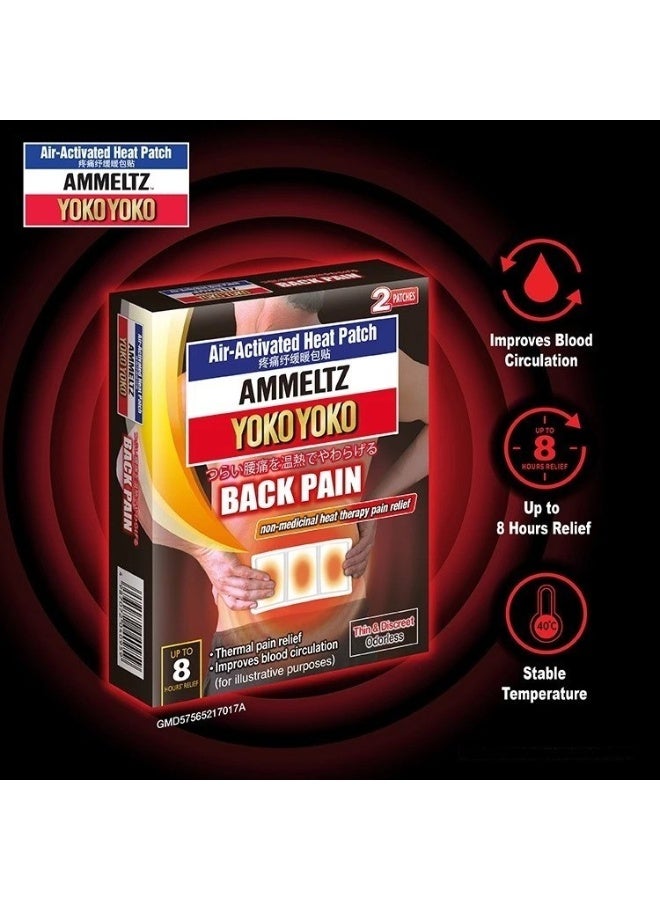 AMMELTZ HP For Back Pain | 2s {package of 2} - Image 2
