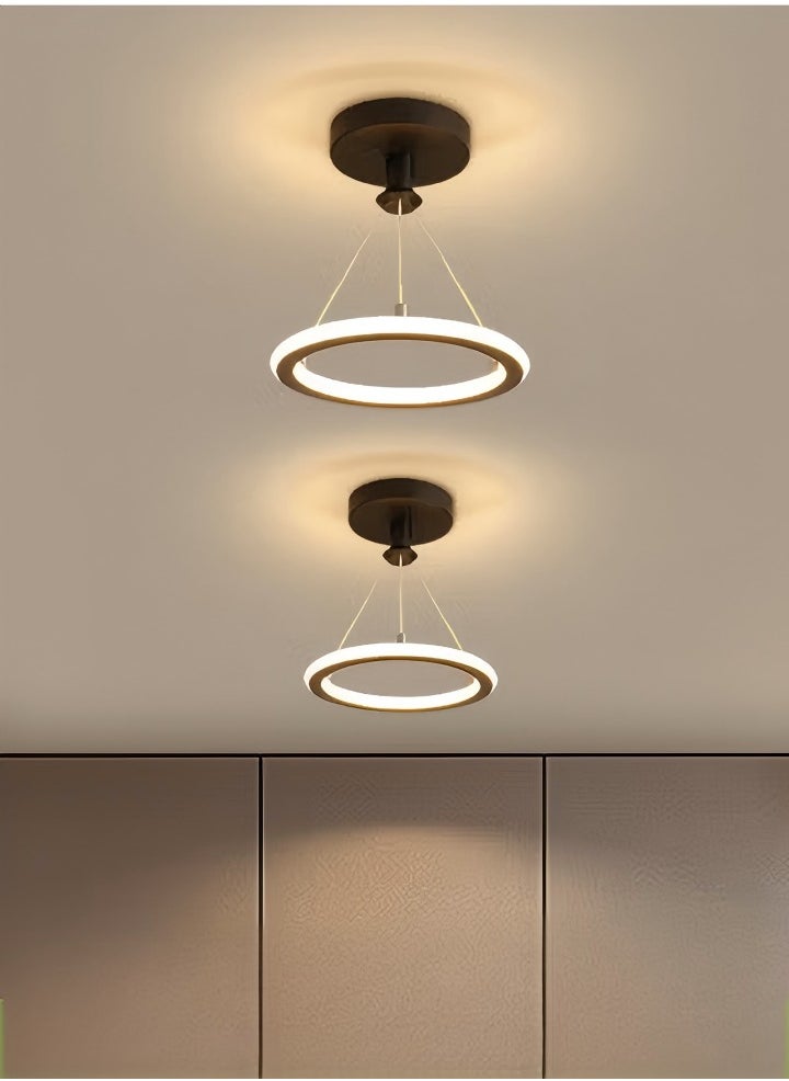 DUNISO LED ceiling light, tri color dimming aisle light, modern ceiling light, 19W, energy saving, easy to clean, suitable for corridors, living rooms, bedrooms, kitchens, diameter 20cm  - Image 1