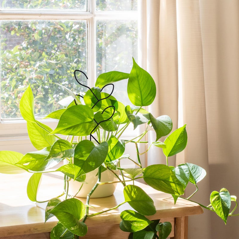 Natrlart 2 Pcs Metal Leaf Shape Garden Trellis for Climbing Plant, Potted Plants, Mini Plants, Indoor Plants Trellis, Home Plant Tool, Plant Lover Gifts Ideas for Garden Potted, Hoya, Pothos, Flower, Monstera - Image 3