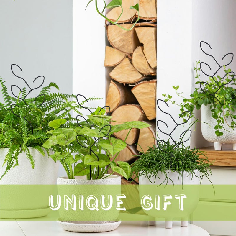 Natrlart 2 Pcs Metal Leaf Shape Garden Trellis for Climbing Plant, Potted Plants, Mini Plants, Indoor Plants Trellis, Home Plant Tool, Plant Lover Gifts Ideas for Garden Potted, Hoya, Pothos, Flower, Monstera - Image 5