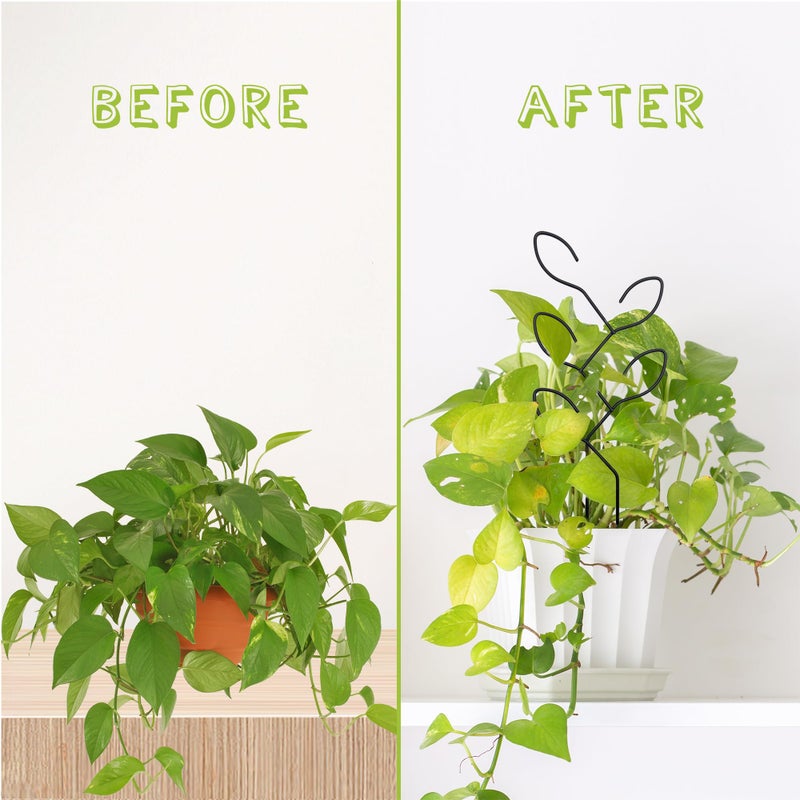 Natrlart 2 Pcs Metal Leaf Shape Garden Trellis for Climbing Plant, Potted Plants, Mini Plants, Indoor Plants Trellis, Home Plant Tool, Plant Lover Gifts Ideas for Garden Potted, Hoya, Pothos, Flower, Monstera - Image 4