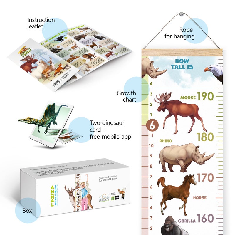 LIFELIKO Personalised Growth Chart for Animal Lovers  Removable Wall Ruler for Boys and Girls  Kids Room Decoration (Multicolor) - Image 3