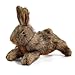 ALL FOR PAWS Squeaky Dog Toys Dog Stuffed Animal Toys Plush Toy for Small Medium Large Dogs Puppy Chew Toy with Squeaker Brown RabbitS - Image 3
