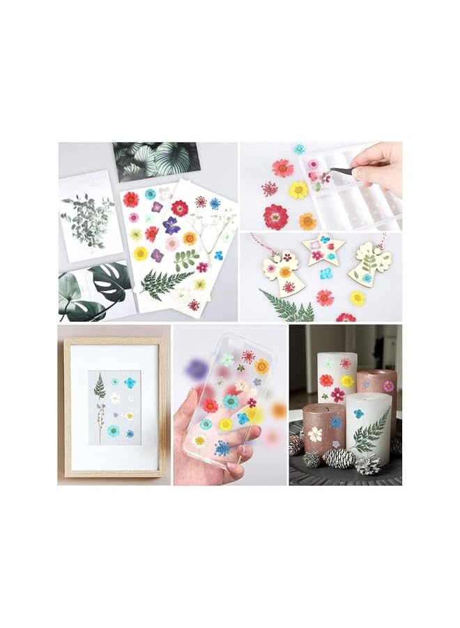 The Bros Dried Pressed Flowers Natural Dried Flowers Real Pressed Flowers Colorful Dry Flowers for Resin Jewelry Nail Art Craft DIY (White) - Image 5