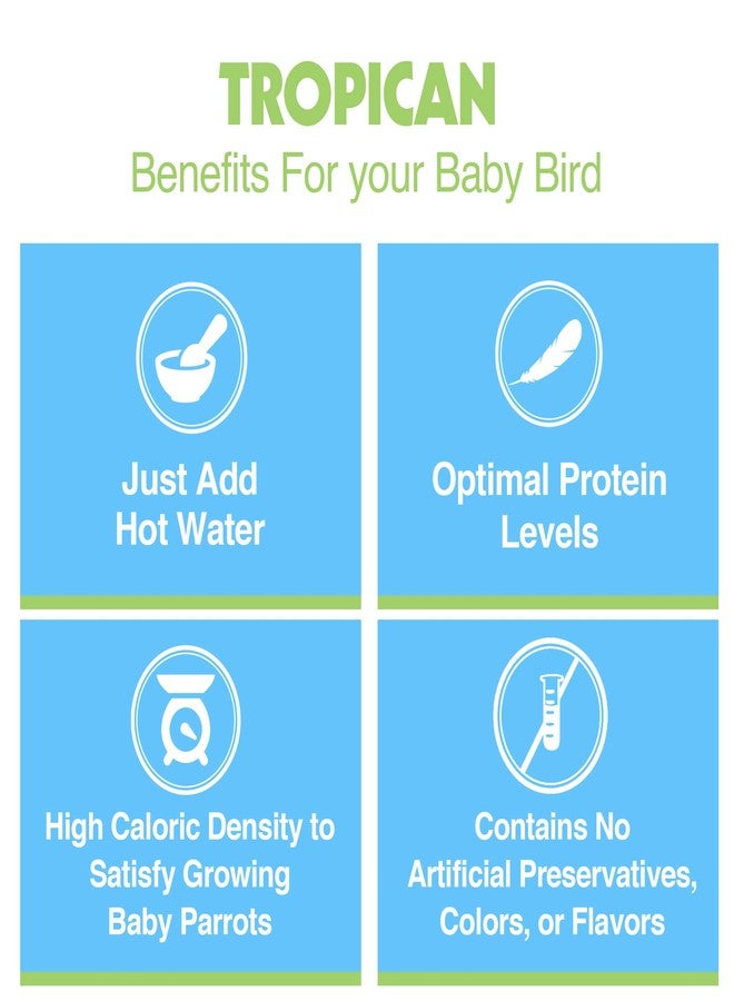 Hari Hagen Tropican Hand Feeding Parrot Food, 4.4 lb Baby Bird Food for Optimal Growth - Image 5