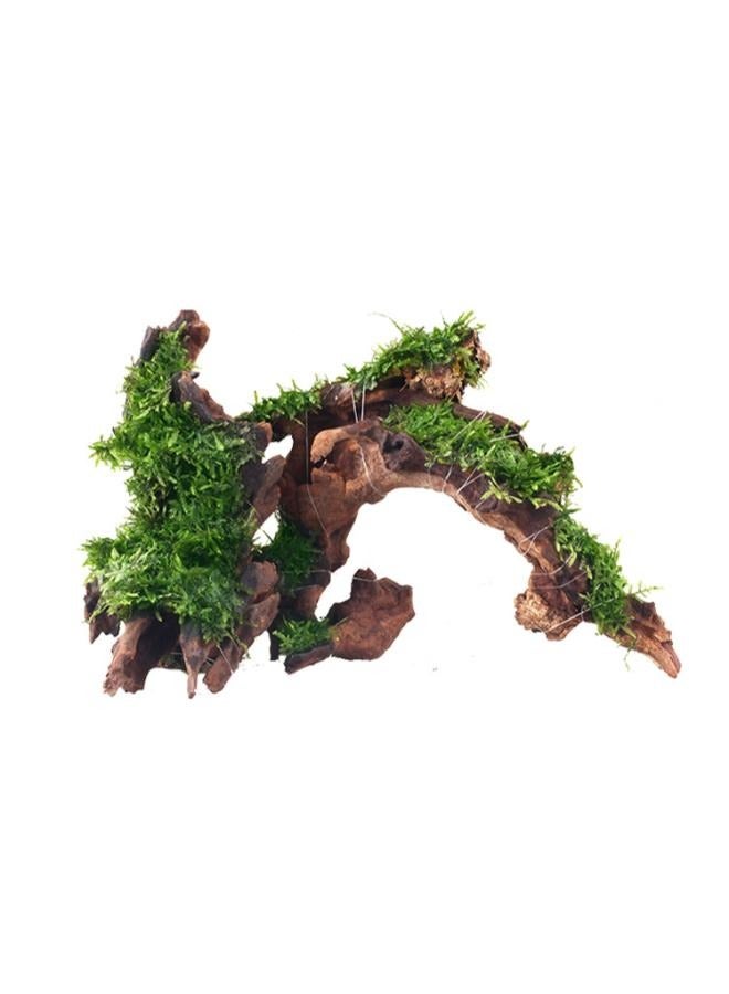 Large Driftwood for Aquarium Decorations Natural Assorted Branches Bearded Dragon Tank Accessories Terrarium Décor - Image 1