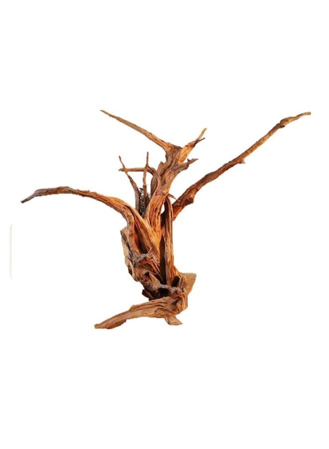 Large Driftwood for Aquarium Decorations Natural Assorted Branches Bearded Dragon Tank Accessories Terrarium Décor - Image 4