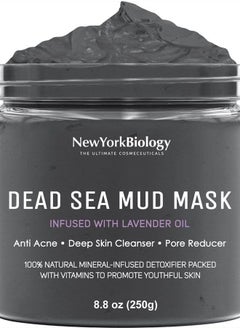 NEW YORK BIOLOGY THE ULTIMATE COSMECEUTICALS New York Biology Dead Sea Mud Mask for Face and Body Infused with Lavender - Spa Quality Pore Reducer for Acne, Blackheads and Oily Skin - Tightens Skin for A Healthier Complexion - 8.8 oz  - Image 1