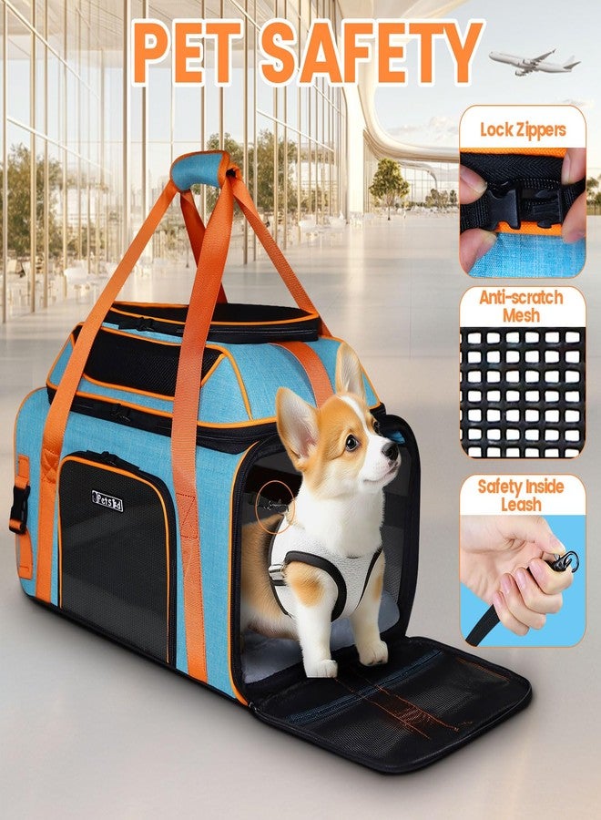 Petskd Top-Expandable Pet Carrier 19x13x9 Inches for Southwest Allegiant Airlines Approved, Soft-Sided Carrier for Small Dog Under 15 lbs and Large Cat Under 20 lbs(Blue) - Image 5