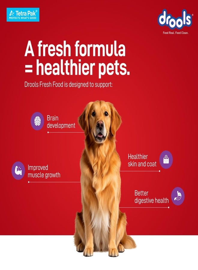 Drools Dog Fresh Food Tetra Pak Real Chicken Biryani, for Adult & Puppy, 350g | High Protein, 90% Real Meat | No Preservatives | Retains Freshness & Flavours | Ready to Serve | One Pack Per Meal - Image 5