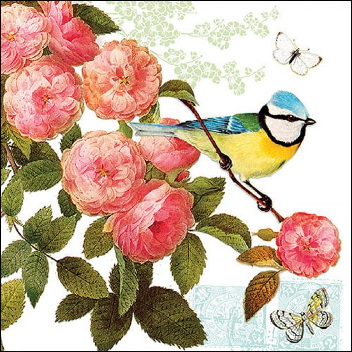 Decoupage Napkins Bird Print Set2-9 Decoupage Tissues -1 napkins of each design - 9 pc total - Image 3