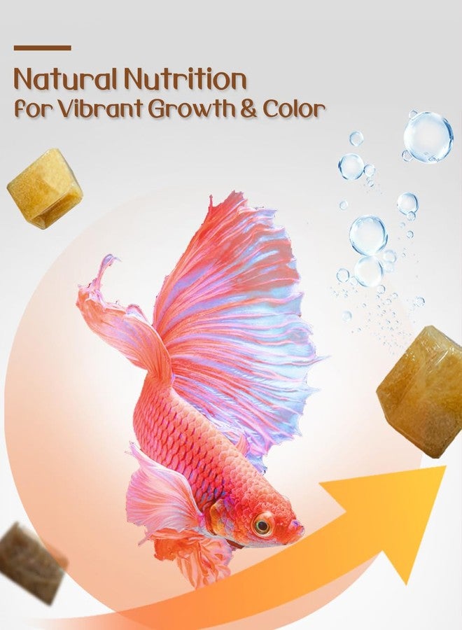 BNYEE Liquid Fish Food - Consisting of Non-Living Daphnia Without Refrigeration for Fry/Larvae/Small, Corals, Jelly, Seahorses, and Other Aquarium Fish - Image 3