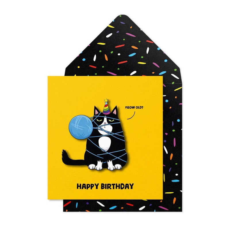 Tache Birthday Greeting Card Blank Inside, Black Cat Design - Image 1