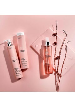 Erayba Always Beautiful Hair Color Care Collection Is Vegan And Enriched With Natural Lngredients. Especially For Colored Hair Shampoo 250ml Mask 250ml Conditioner 200ml  - Image 2
