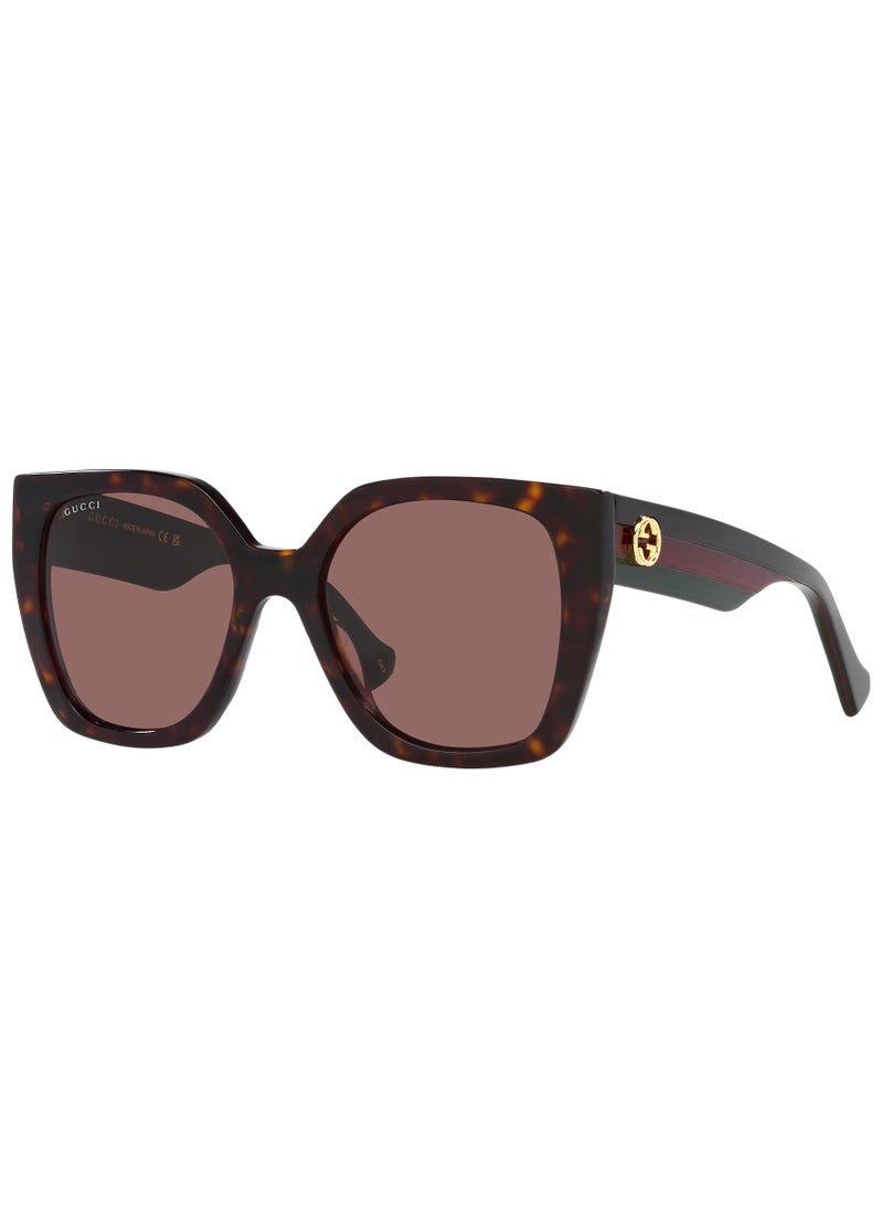 Gucci GG1300S 002 55 Women's Sunglasses - pzsku/Z711CF3CB03066AB97689Z/45/_/1732687564/b0bf8442-3b6e-4b53-807d-13bb2e62230f