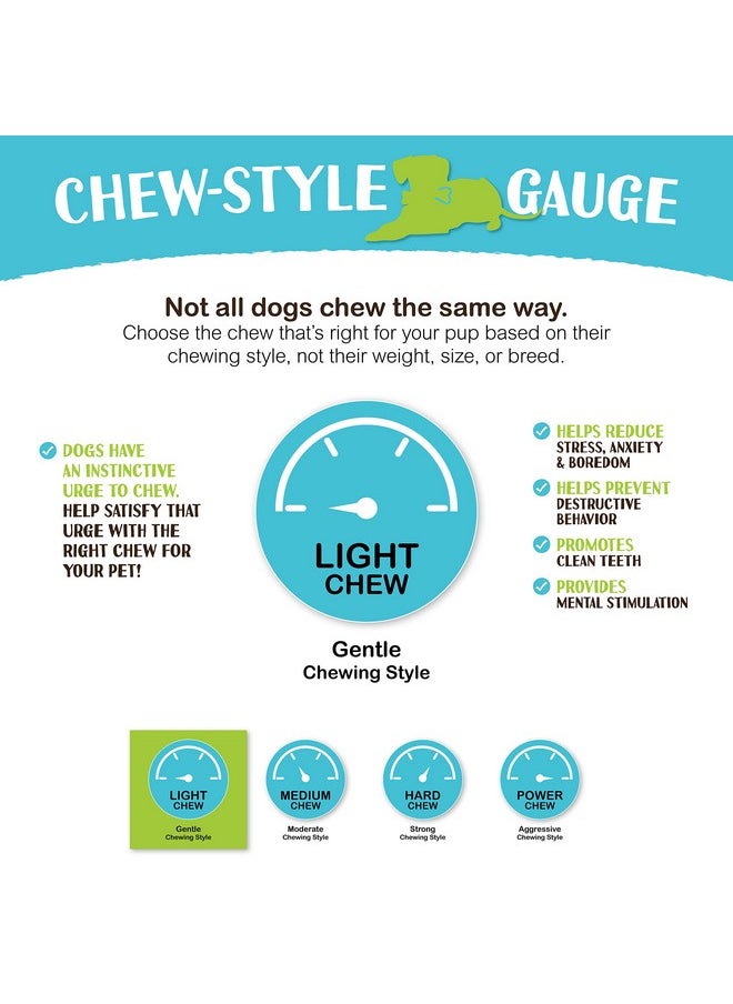 Raw Paws - Green Beef Tripe Sticks For Dogs  6Inch, 10Pack  Packed In Usa  Dried Tripe Dog Treats From FreeRange, Cows No Added Antibiotics Or Hormones  Dehydrated Beef Green Tripe For Dogs - Image 1