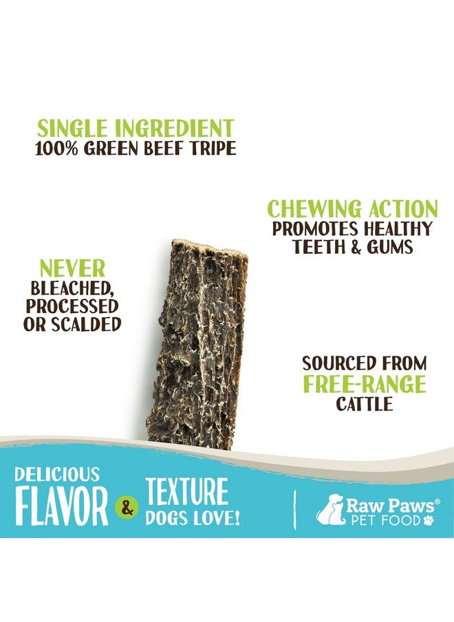 Raw Paws - Green Beef Tripe Sticks For Dogs  6Inch, 10Pack  Packed In Usa  Dried Tripe Dog Treats From FreeRange, Cows No Added Antibiotics Or Hormones  Dehydrated Beef Green Tripe For Dogs - Image 1