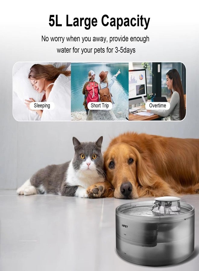 NPET Large Dog Water Fountain,169oz/5L Deep Drinking Area Automatic Pet Fountains Filtration Water Dispenser with Quiet Pump for Cats Dogs - Image 3