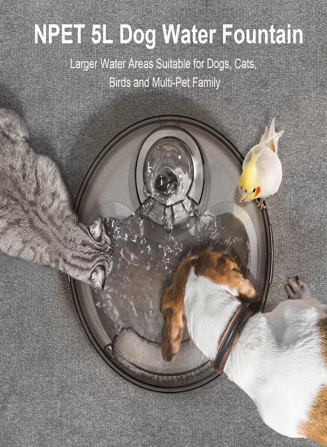 NPET Large Dog Water Fountain,169oz/5L Deep Drinking Area Automatic Pet Fountains Filtration Water Dispenser with Quiet Pump for Cats Dogs - Image 2