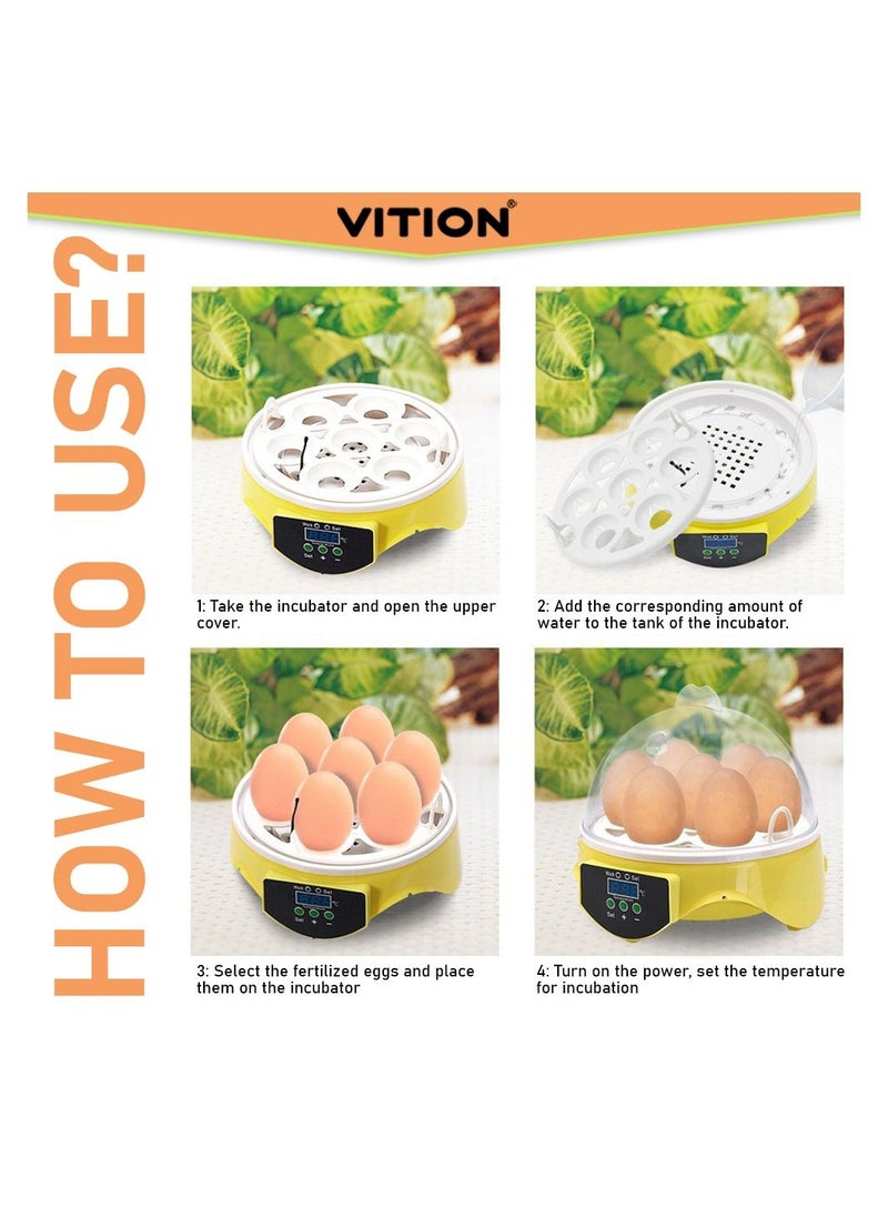 VITION - VITION 7 Eggs Mini Digital Egg Incubator Hatcher Transparent Eggs Hatching Machine Automatic Temperature Control for Chicken Duck Bird Eggs - Image 1