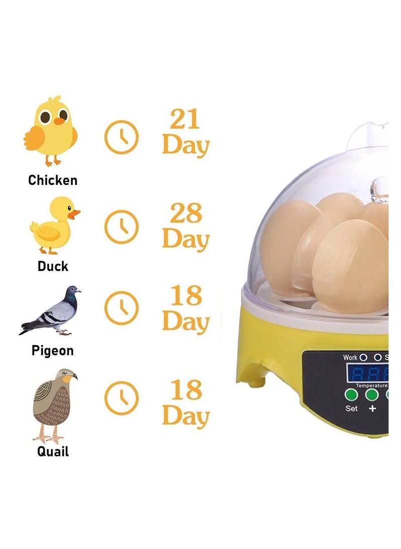 VITION - VITION 7 Eggs Mini Digital Egg Incubator Hatcher Transparent Eggs Hatching Machine Automatic Temperature Control for Chicken Duck Bird Eggs - Image 1