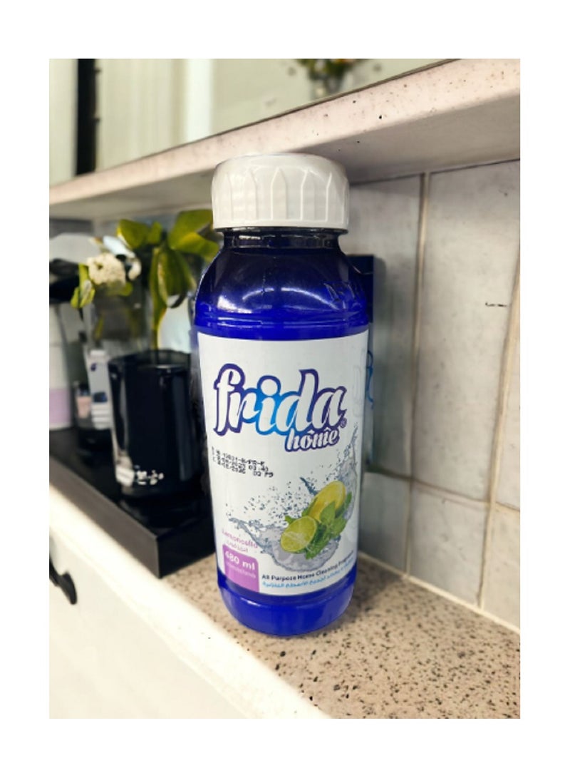 Cleaner and freshener for all household surfaces, with cranberry scent, 480 ml