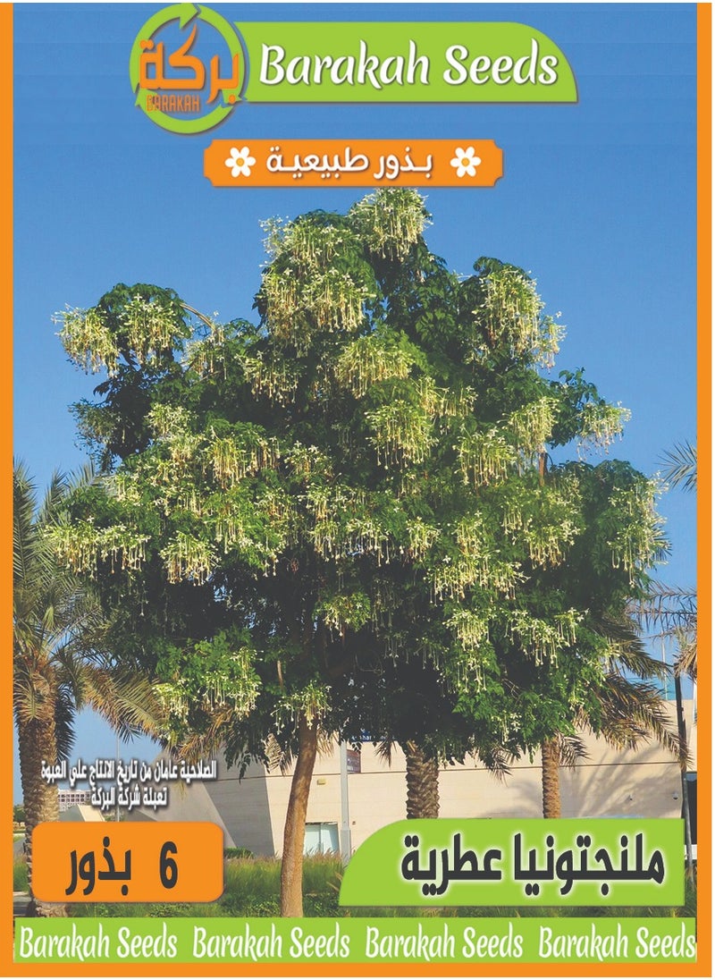 Generic High germination seeds - aromatic - Melingtonia 