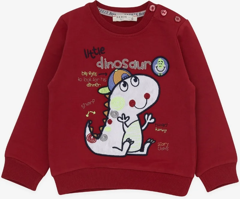 بريز Boy's Tracksuit Set with Little Dinosaur Embroidery, 1-4 Years, Red