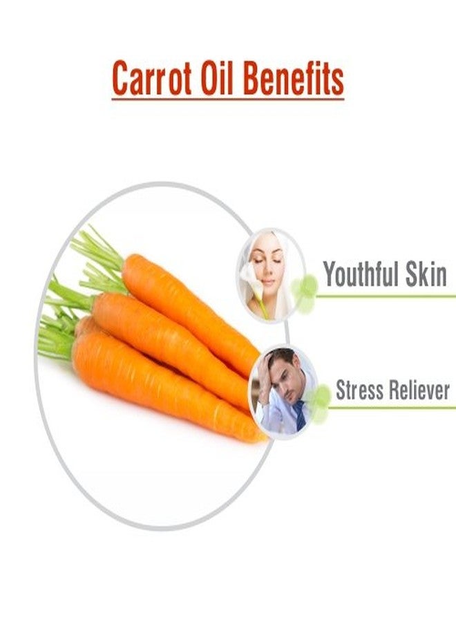 Salvia Carrot Oil with Dropper 100% Natural Pure Undiluted Uncut Essential Oil - 30ml - Image 2