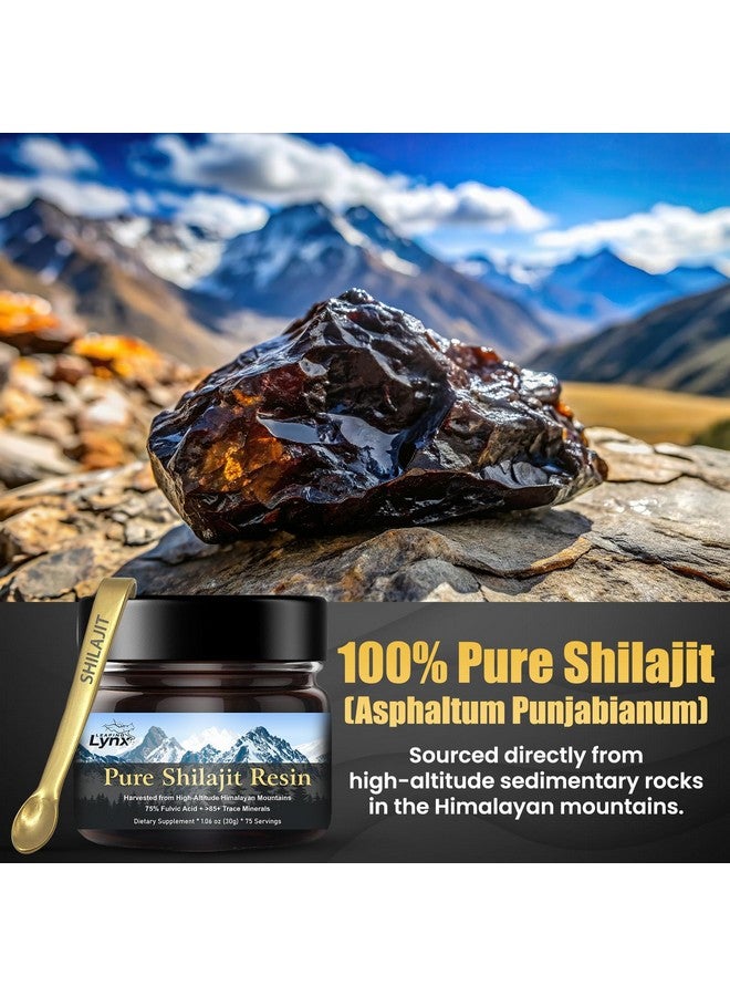 Leaping Lynx Himalayan Shilajit Resin [1,000 mg] Pure Shilajit Organic Natural ||Gold Grade|| Alpine Harvested, Sun-Dried, & Lab Purified for Men & Women, Max Potency >75% Fulvic Acid & 85+ Trace Minerals - Image 5